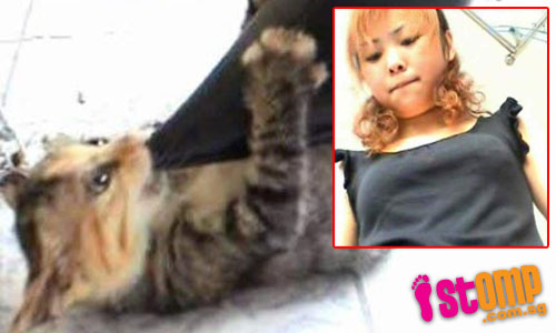 China woman stomps on kitten with her high heels.
